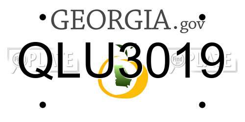 QLU3019 Georgia License Plate