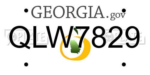QLW7829 Georgia License Plate