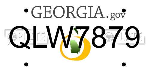 QLW7879 Georgia License Plate
