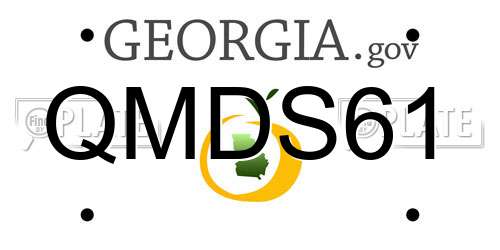QMDS61 Georgia License Plate