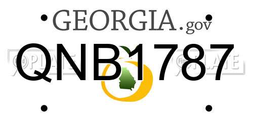 QNB1787 Georgia License Plate