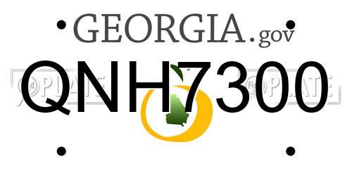 QNH7300 Georgia License Plate