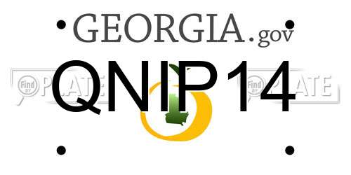 QNIP14 Georgia License Plate