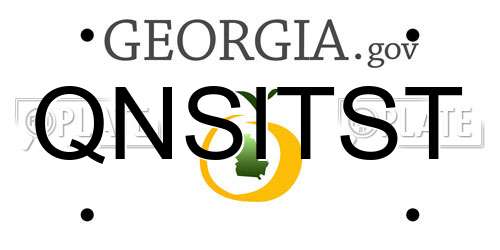 QNSITST Georgia License Plate