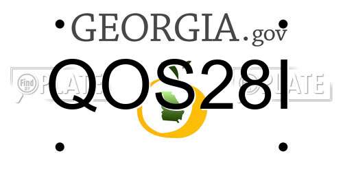 QOS28I Georgia License Plate