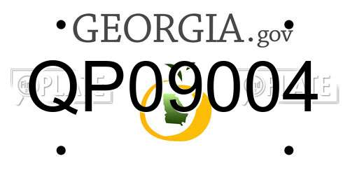 QP09004 Georgia License Plate