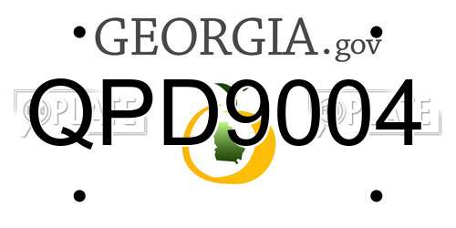 QPD9004 Georgia License Plate