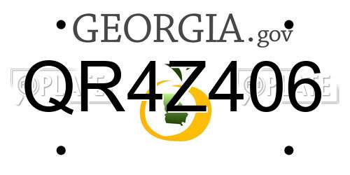 QR4Z406 Georgia License Plate