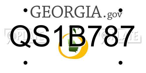 QS1B787 Georgia License Plate