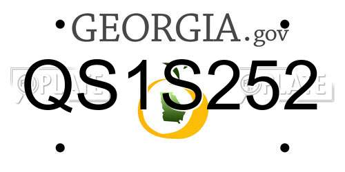 QS1S252 Georgia License Plate