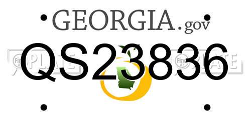 QS23836 Georgia License Plate