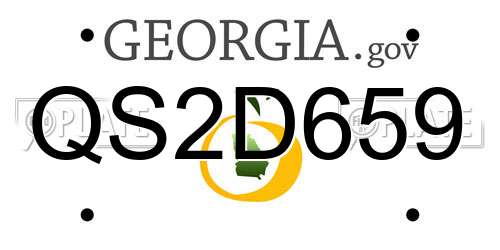 QS2D659 Georgia License Plate