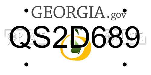 QS2D689 Georgia License Plate
