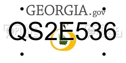 QS2E536 Georgia License Plate