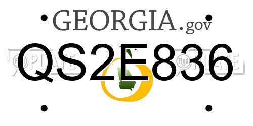 QS2E836 Georgia License Plate