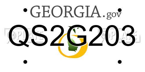 QS2G203 Georgia License Plate