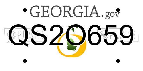 QS2O659 Georgia License Plate