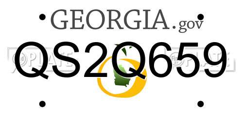 QS2Q659 Georgia License Plate