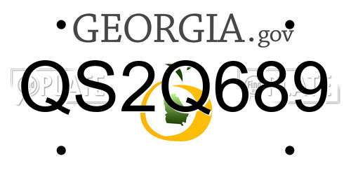 QS2Q689 Georgia License Plate