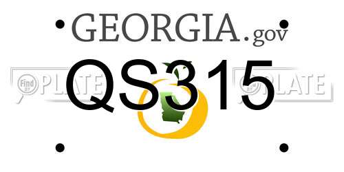 QS315 Georgia License Plate