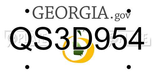QS3D954 Georgia License Plate