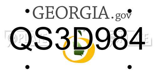 QS3D984 Georgia License Plate