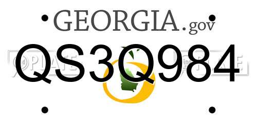 QS3Q984 Georgia License Plate