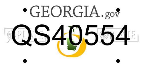 QS40554 Georgia License Plate