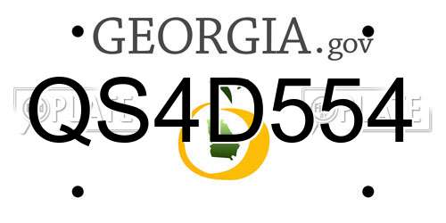 QS4D554 Georgia License Plate