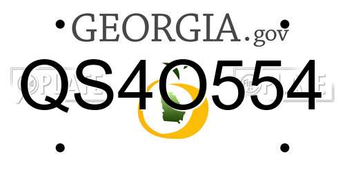 QS4O554 Georgia License Plate