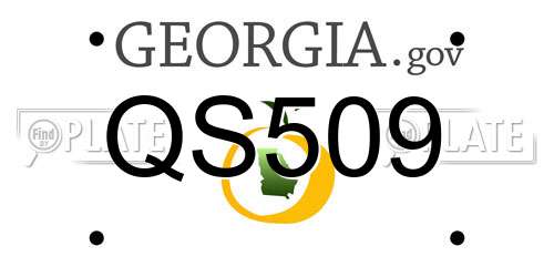 QS509 Georgia License Plate