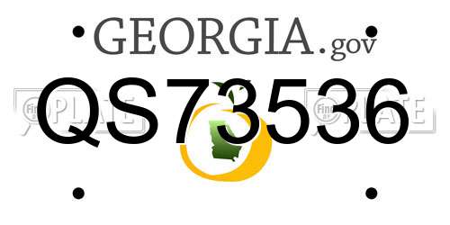QS73536 Georgia License Plate