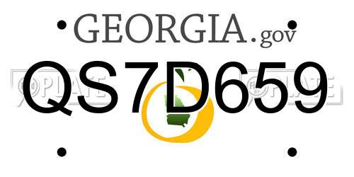 QS7D659 Georgia License Plate
