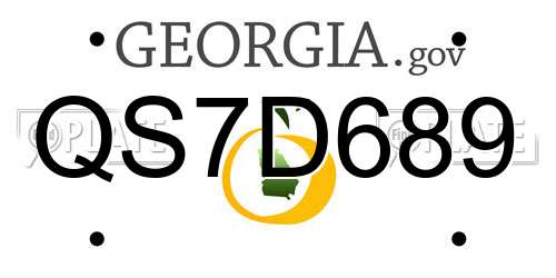 QS7D689 Georgia License Plate