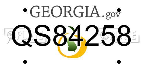 QS84258 Georgia License Plate