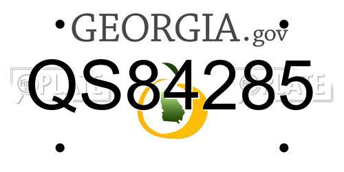 QS84285 Georgia License Plate