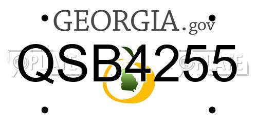 QSB4255 Georgia License Plate