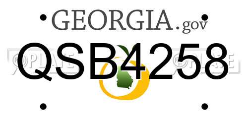 QSB4258 Georgia License Plate