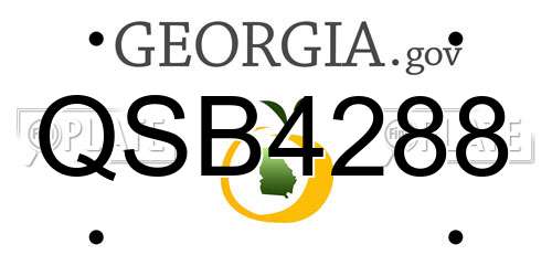 QSB4288 Georgia License Plate