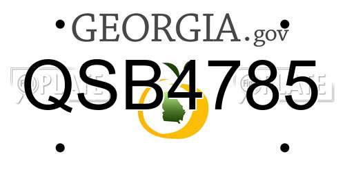 QSB4785 Georgia License Plate