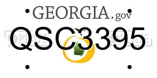 QSC3395 Georgia License Plate