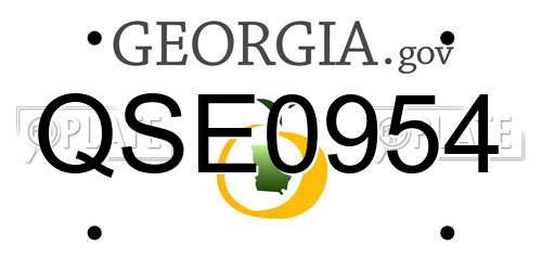 QSE0954 Georgia License Plate