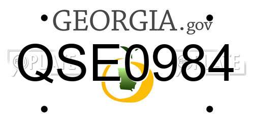 QSE0984 Georgia License Plate