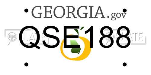 QSE188 Georgia License Plate