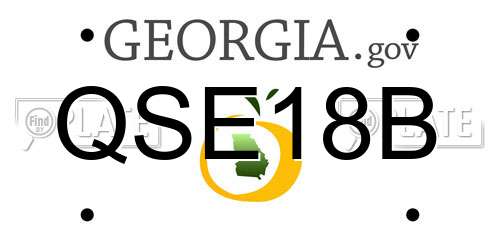 QSE18B Georgia License Plate