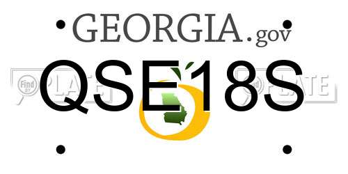 QSE18S Georgia License Plate