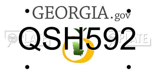 QSH592 Georgia License Plate