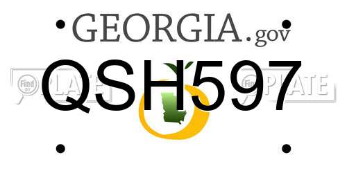 QSH597 Georgia License Plate