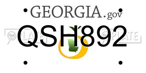QSH892 Georgia License Plate