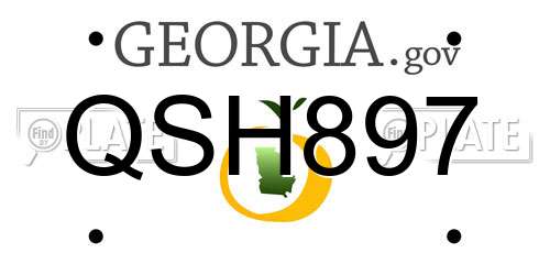 QSH897 Georgia License Plate